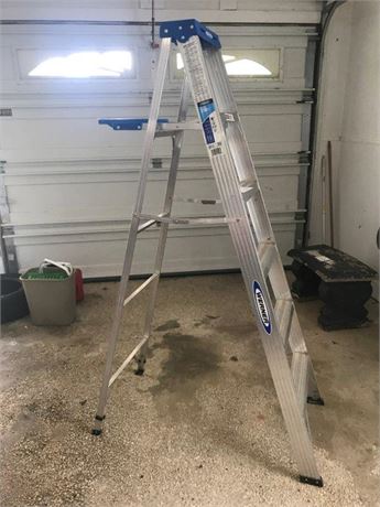 Werner 6' Aluminium Ladder