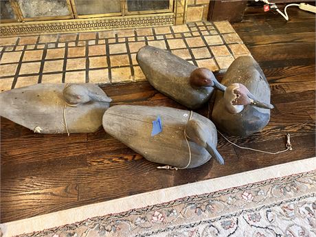 Duck Decoys