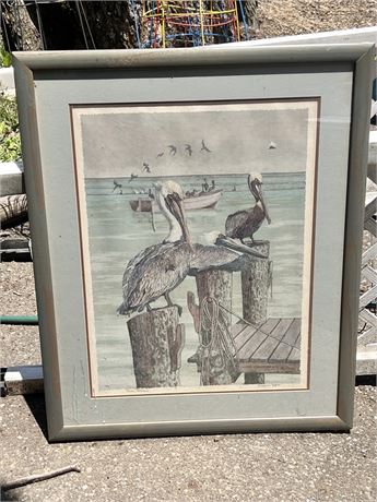 Signed and Numbered Pelican Picture