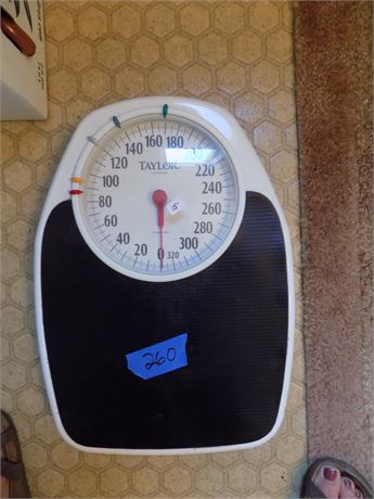 Taylor Weight Scale