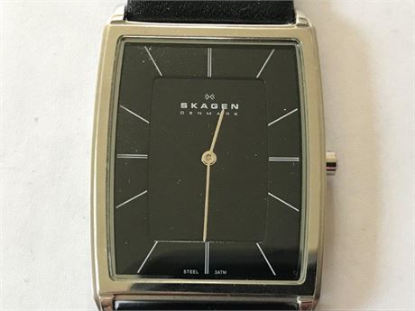 Skagen Watch