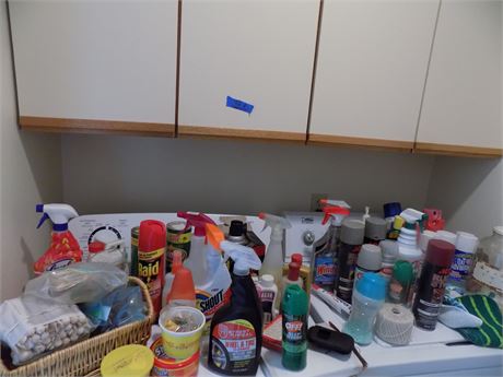 Cleaning Products Lot