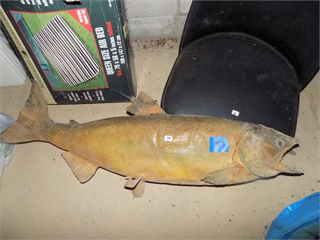 Misc. Decor Mounted Fish