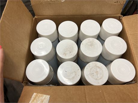 Case of unmarked aerosol cans appears to be a cleaner