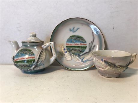 Florida's Silver Spring Mini. Tea Set