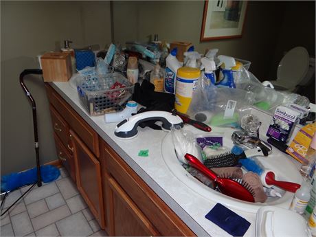 Bathroom Cleanout