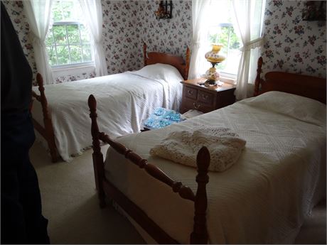 2 Twin Beds and Night Stand