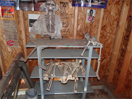 Skeletons Shelf and Contents