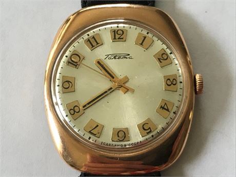 Pakema Russian Watch