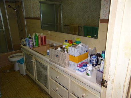 Bathroom Clean Out - Hall Bathroom