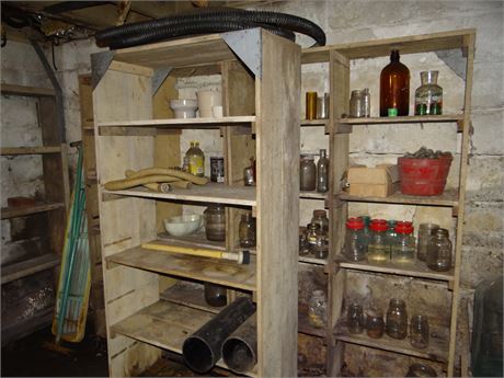 Clean Out in Basement