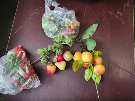 Fruit