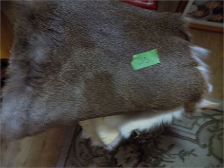 Animal Hide