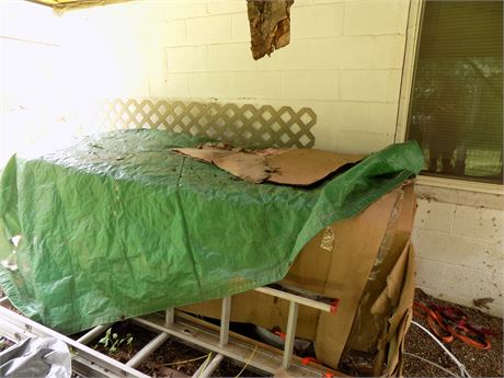 Coffin
