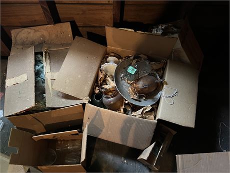 As a Lot Attic with Glass Chicken
