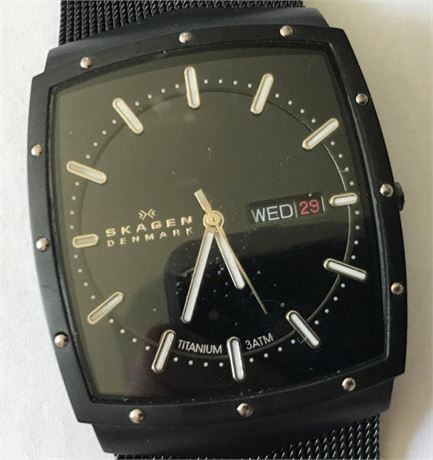 Skagen Denmark Titanium Watch