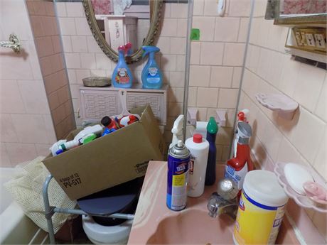Bathroom Lot