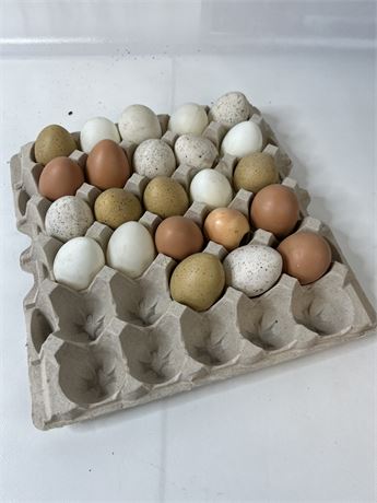 Ceramic Egg Decor