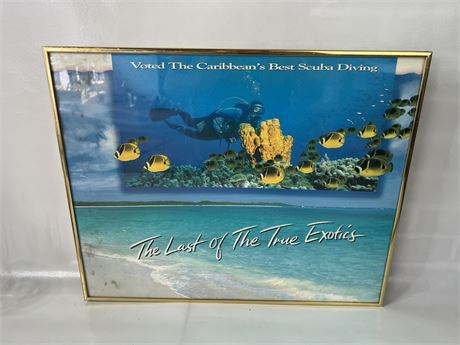 Framed Travel Poster