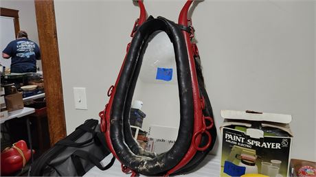 Horse Yolk mirror