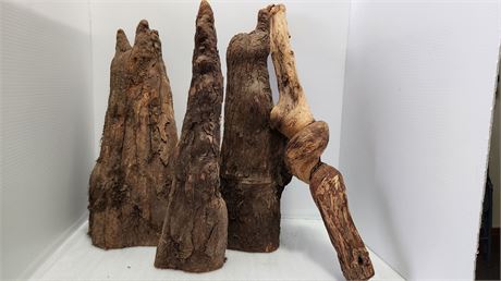 Cypress Knees