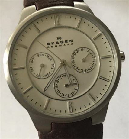 Skagen Denmark Watch