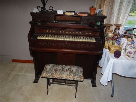 Organ