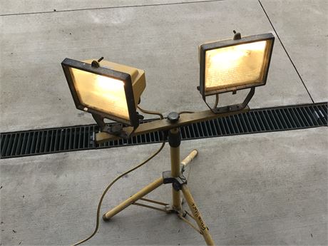 Dual Construction Lights. Both work.