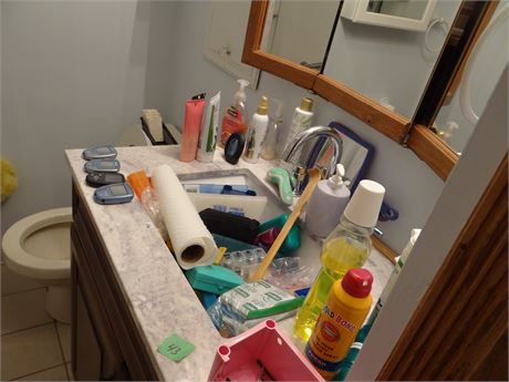 Bathroom Cleanout