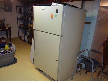 Refrigerator in Basement