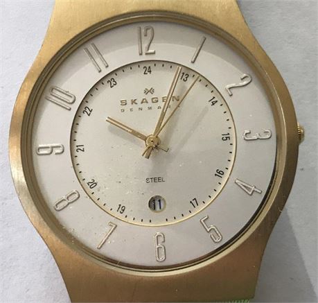Skagen Steel Watch