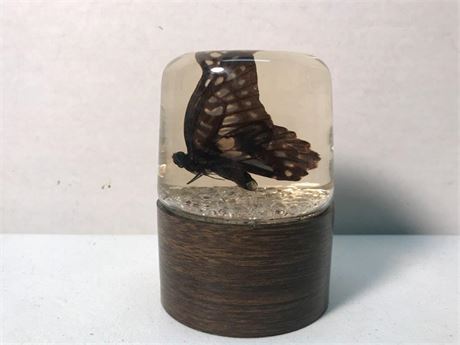 Educational Embedments Butterfly