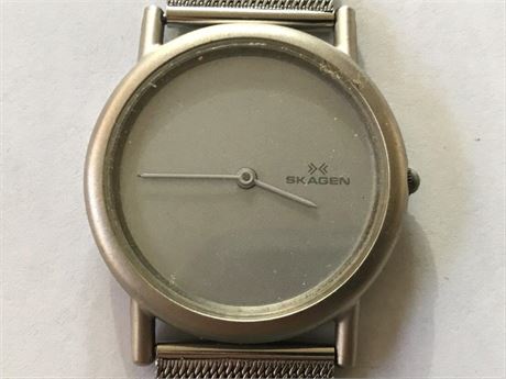 Skagen Watch