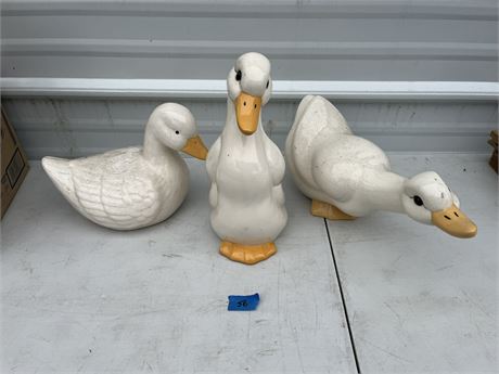 Duck Decor