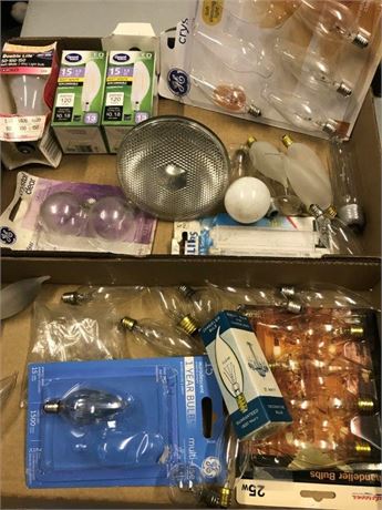 Flat of Misc. Light Bulbs
