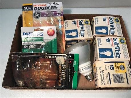 Flat of Misc. Light Bulbs (#3)