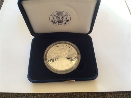 2010 American Eagel Silver Dollar 99.9% Silver