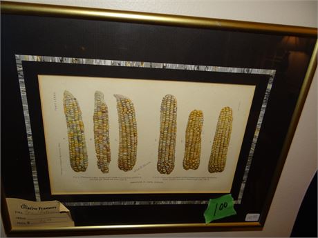 Framed Art