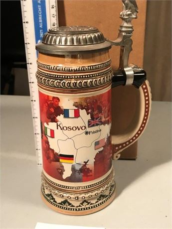 Task Force Falcon Kosovo Stein