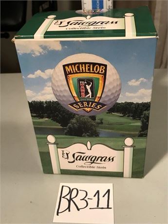 Sawgrass Stein