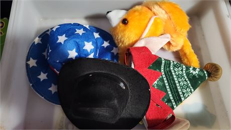 Kinetic sand & Small Dog Hats