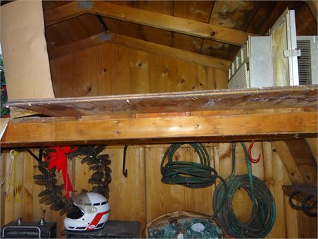 Shed Cleanout