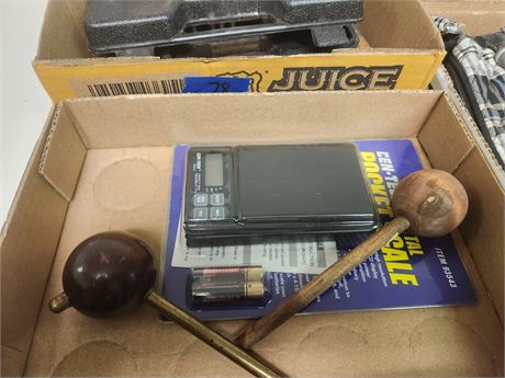 Portable Scale