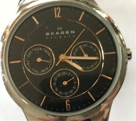 Skagen Denmark Watch
