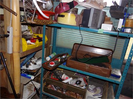 Shelf and Contents