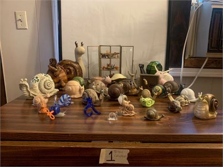 Snail Collection