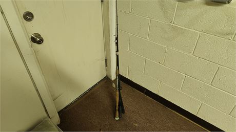 Lot Of Fishing Poles