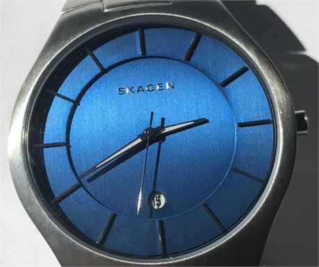 Skagen Watch