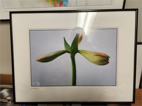 Framed Signed Flower Painting