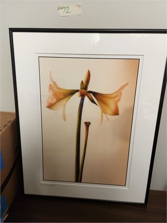 Framed Signed Flower Painting